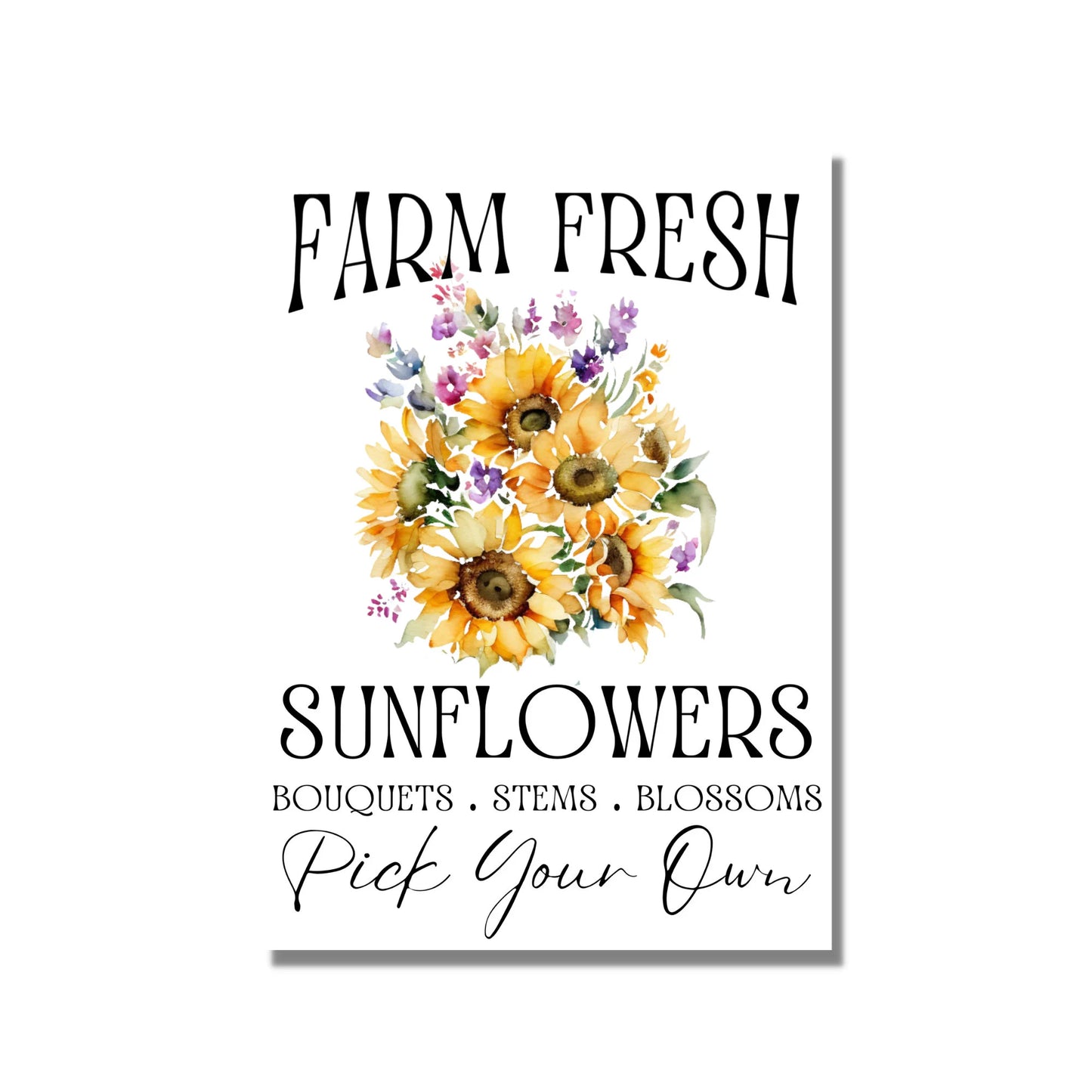 Farm Fresh Summer Sunflowers Graphic / Instant digital download PNG/JPEG/SVG