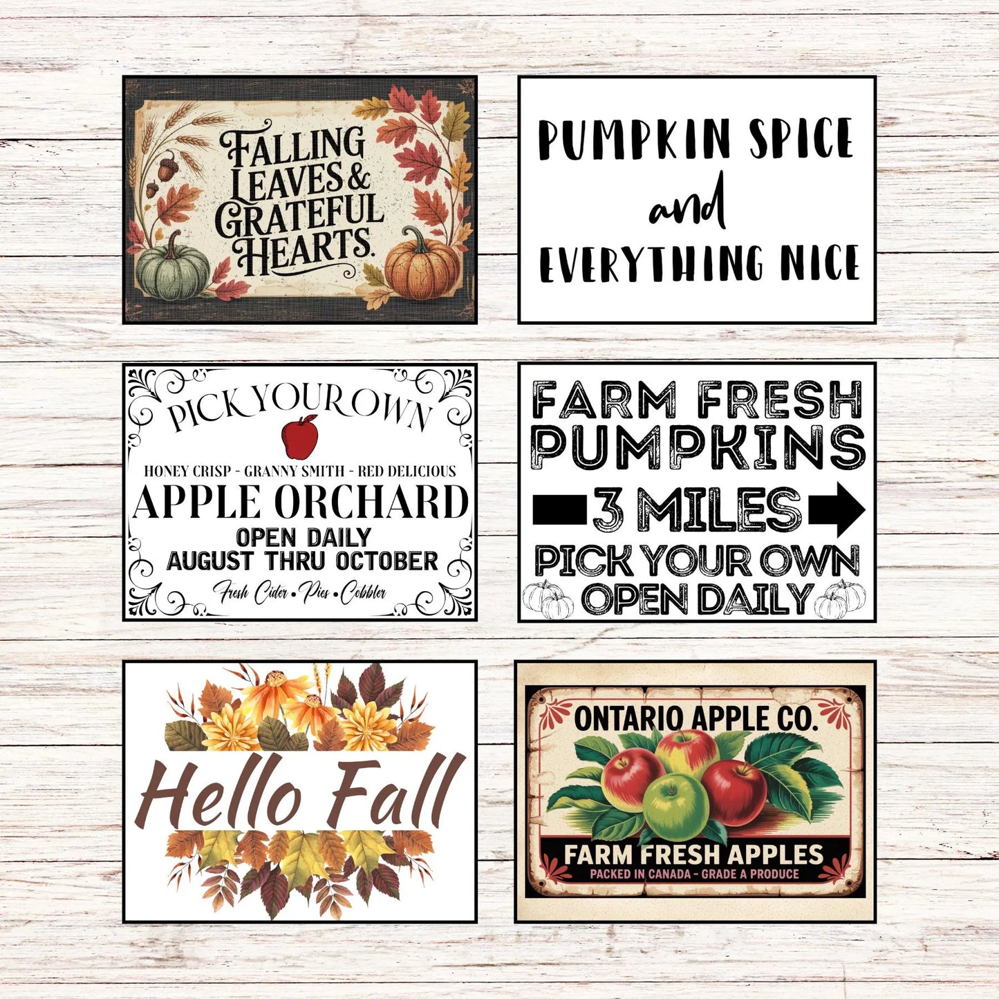 30+ Fall Autumn PNG Graphic Bundle | Vintage Farmhouse Harvest Signs | Pumpkins, Farmers Market, Apple Pie, Thanksgiving Instant Download