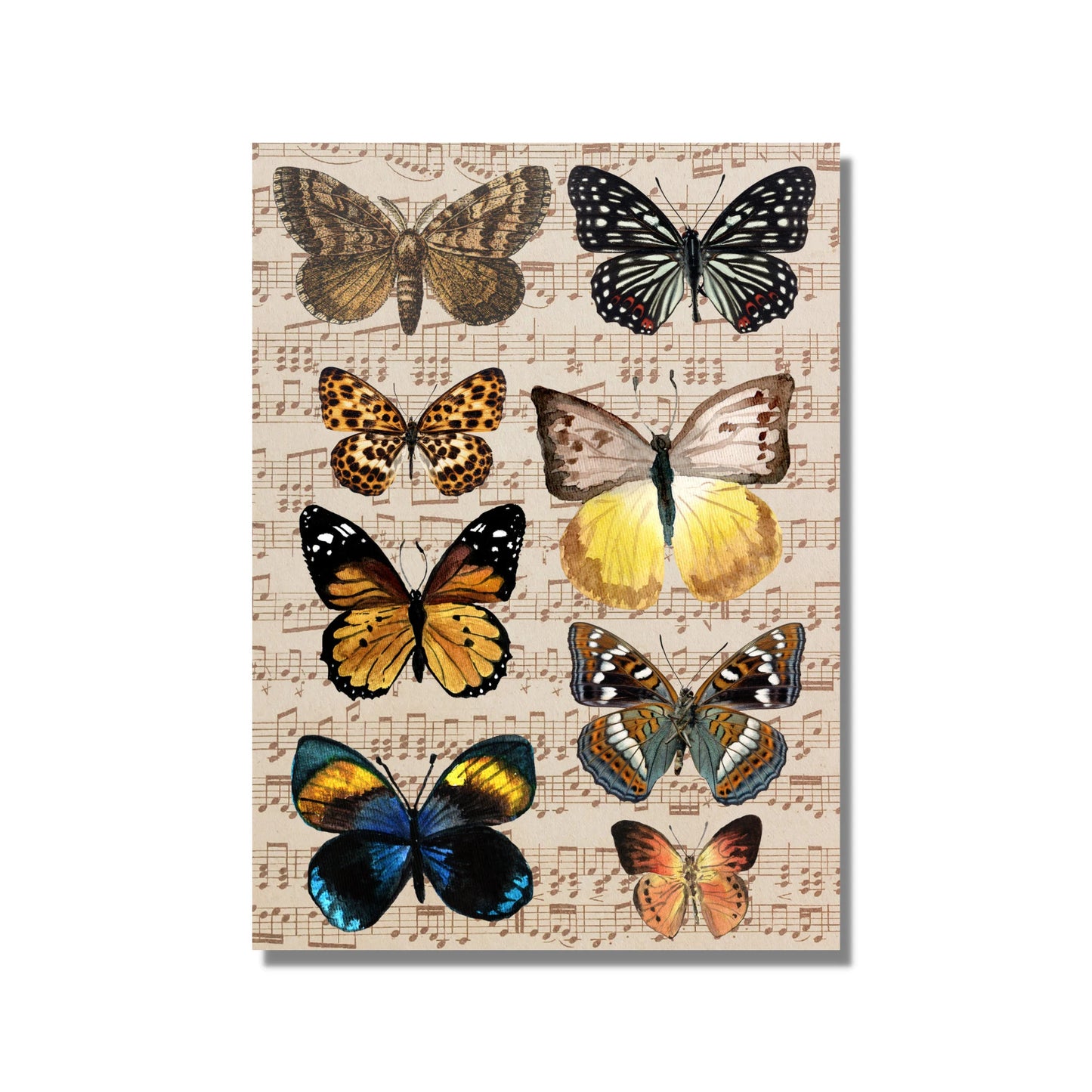 Ephemera Junk Journal Butterflies Instant digital download Graphic PNG JPEG